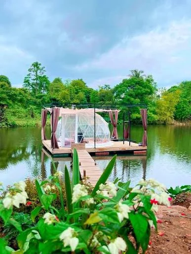Fandee Island accommodation and garden setting